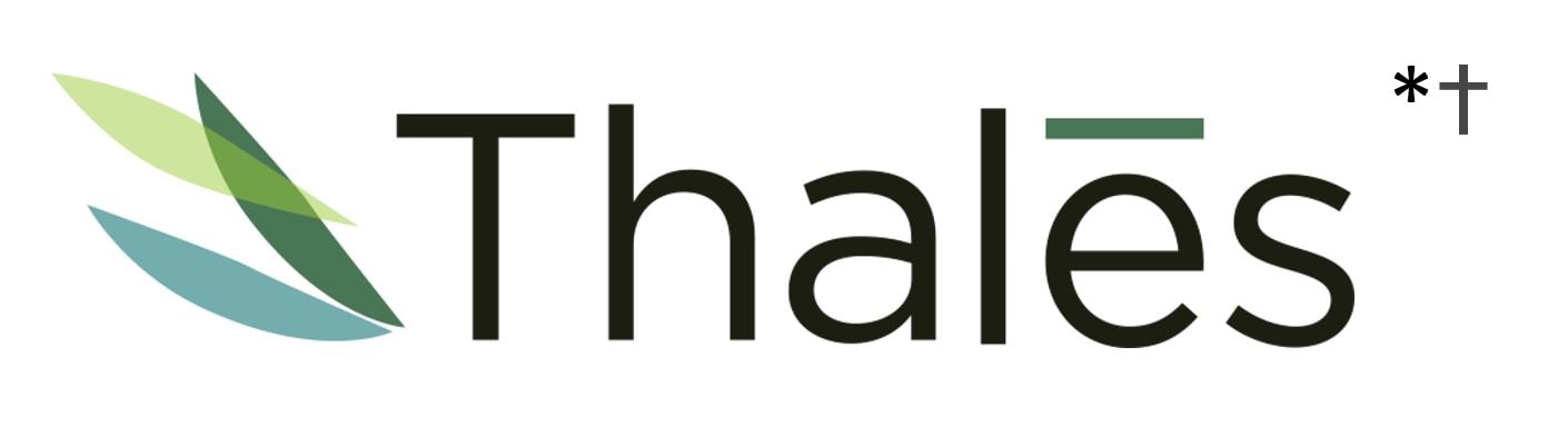 Thales Logo for Partner Page