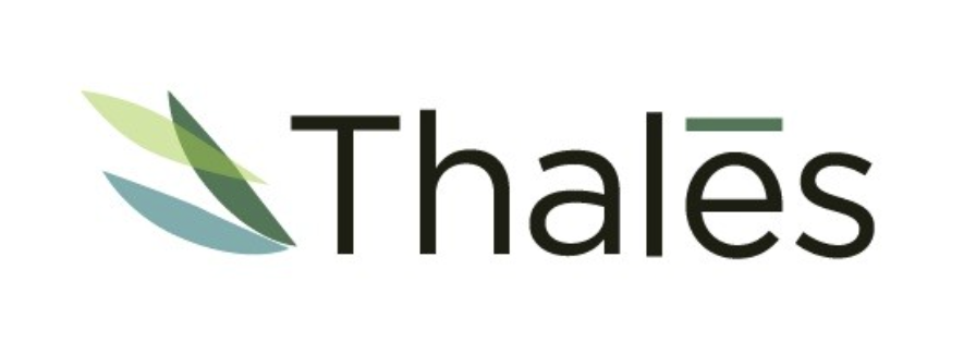 Screenshot 2025-11-11 at 1.38.45 PM